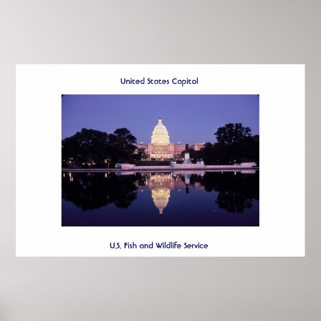 United States Capitol Poster (Front)