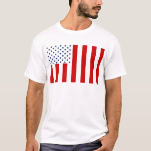 United States Civil Flag Sons of Liberty Variation T-Shirt