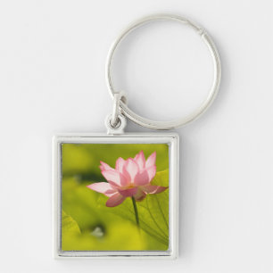 United States, DC, Washington, Kenilworth 2 Key Ring