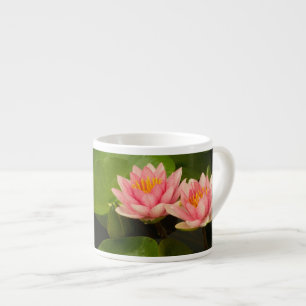 United States, DC, Washington, Kenilworth 4 Espresso Cup