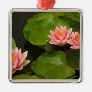 United States, DC, Washington, Kenilworth 4 Metal Tree Decoration