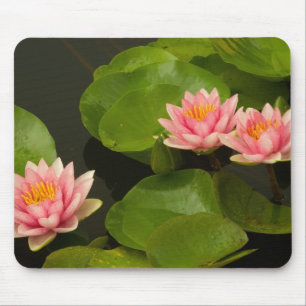United States, DC, Washington, Kenilworth 4 Mouse Mat