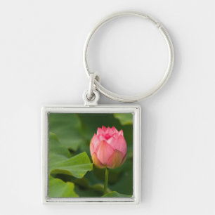 United States, DC, Washington, Kenilworth Key Ring