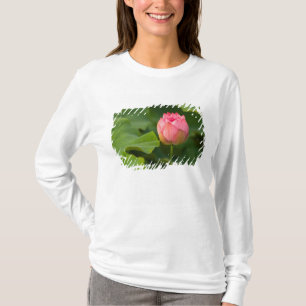United States, DC, Washington, Kenilworth T-Shirt