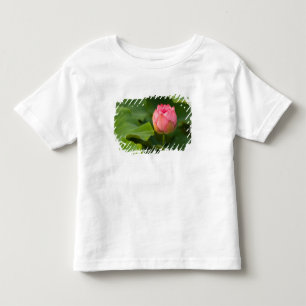 United States, DC, Washington, Kenilworth Toddler T-Shirt