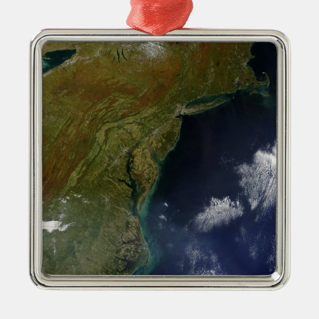 United States East Coast Metal Tree Decoration (Front)