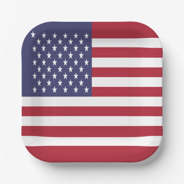 United States Flag Paper Plate (Front)
