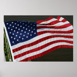 United States Flag Poster