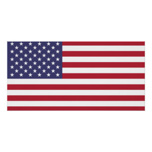 United States Flag Poster