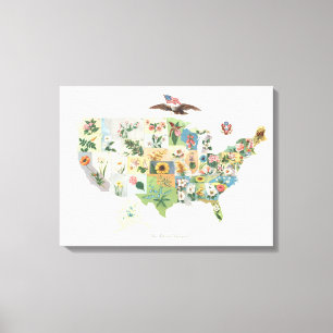United States Flower Map - Our National Bouquet Canvas Print
