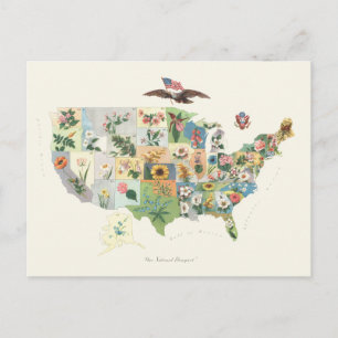 United States Flower Map - Our National Bouquet Postcard