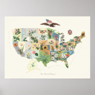 United States Flower Map - Our National Bouquet Poster