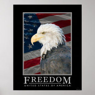 United States Freedom Poster