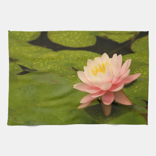 United States, Maryland, Westminster, Union 2 Tea Towel (Horizontal)