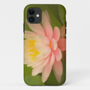 United States, Maryland, Westminster, Union iPhone 11 Case