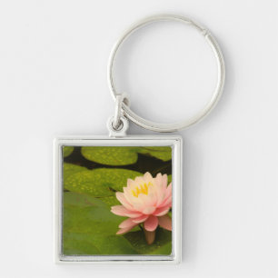 United States, Maryland, Westminster, Union Key Ring
