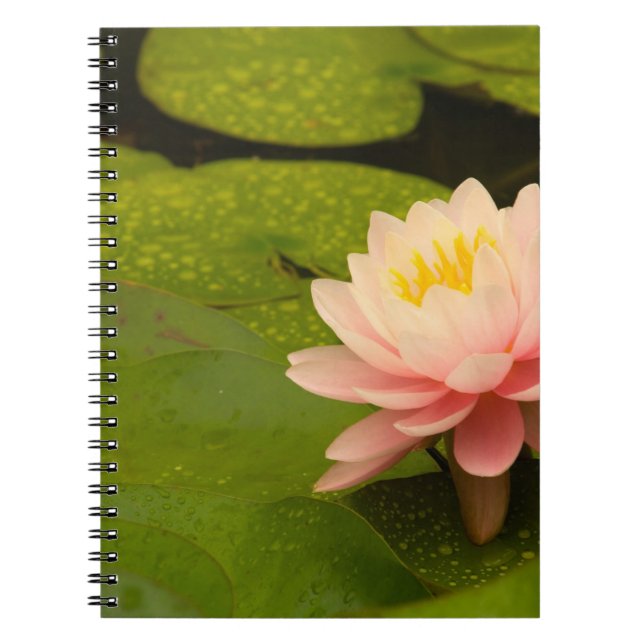 United States, Maryland, Westminster, Union Notebook (Front)