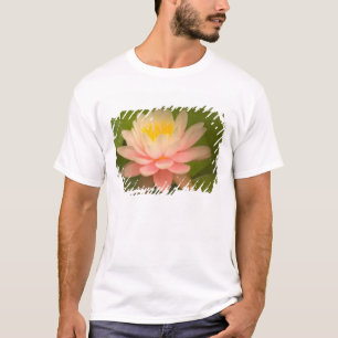 United States, Maryland, Westminster, Union T-Shirt