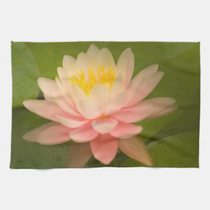 United States, Maryland, Westminster, Union Tea Towel
