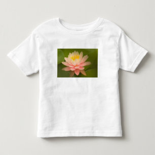 United States, Maryland, Westminster, Union Toddler T-Shirt
