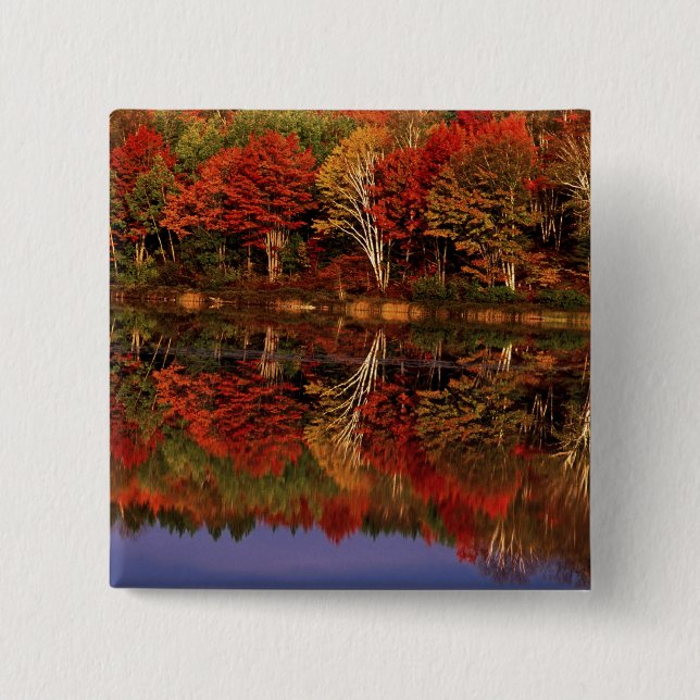 United States, Michigan, Upper Peninsula. Fall 15 Cm Square Badge (Front)