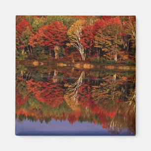 United States, Michigan, Upper Peninsula. Fall Magnet