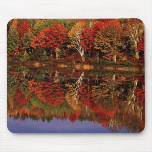 United States, Michigan, Upper Peninsula. Fall Mouse Mat