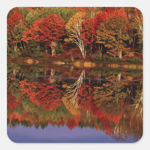 United States, Michigan, Upper Peninsula. Fall Square Sticker