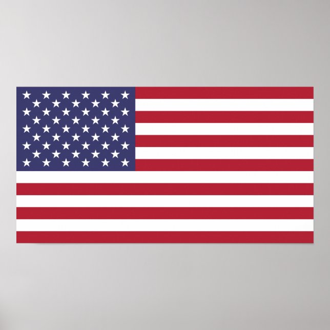 United States National Flag Poster (Front)