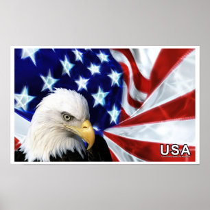 United States of America Bald Eagle Flag Poster