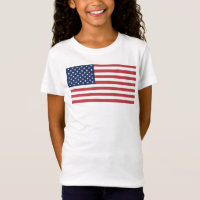 United States of America Flag-26976