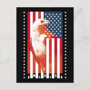 United States Of America Flag and eagle Postcard