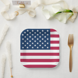 United States of America flag USA patriotic Paper Plate