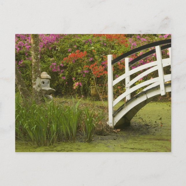 United States; South Carolina; Charleston; 2 Postcard (Front)