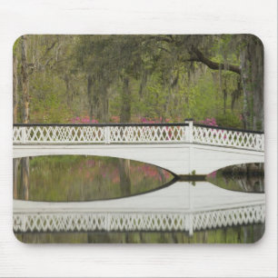 United States; South Carolina; Charleston; 3 Mouse Mat