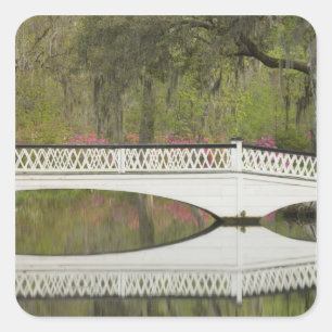 United States; South Carolina; Charleston; 3 Square Sticker