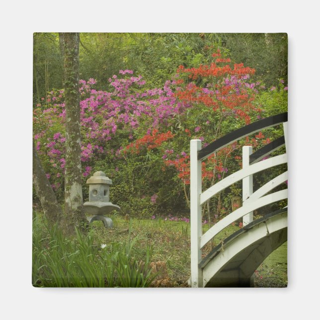 United States; South Carolina; Charleston; 5 Magnet (Front)