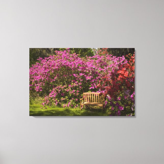 United States; South Carolina; Charleston; Canvas Print (Front)