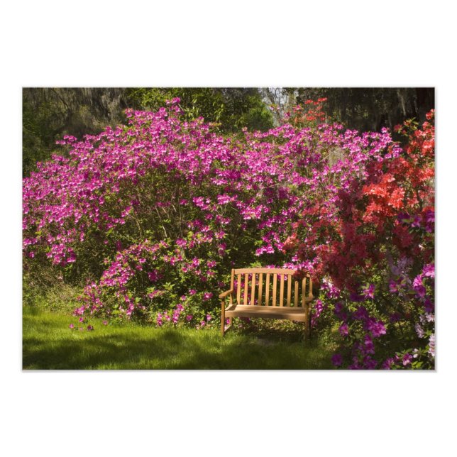 United States; South Carolina; Charleston; Photo Print (Front)