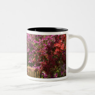 United States; South Carolina; Charleston; Two-Tone Coffee Mug