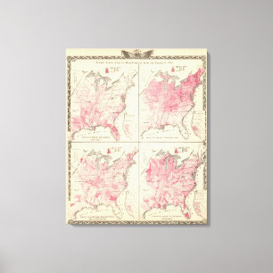 United States vitality maps Canvas Print