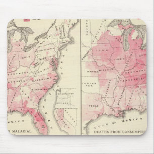 United States vitality maps Mouse Mat