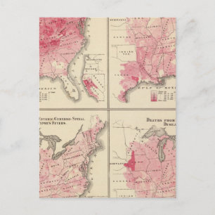 United States vitality maps Postcard