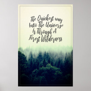 Universe and forest wilderness quote poster