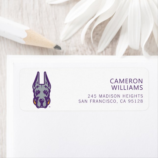 University at Albany Great Dane Mascot Head (Insitu)