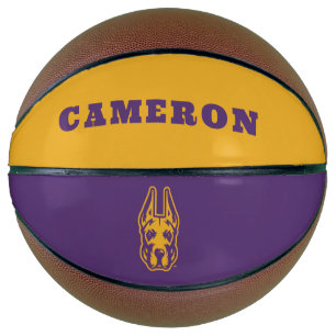 University at Albany Great Dane Mascot Head Basketball
