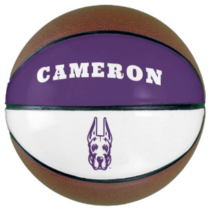 University at Albany Great Dane Mascot Head Basketball