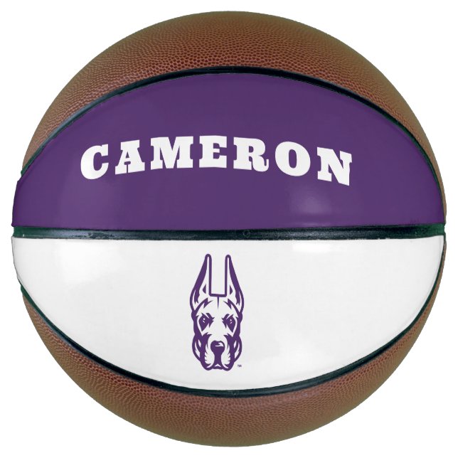 University at Albany Great Dane Mascot Head Basketball (Front)