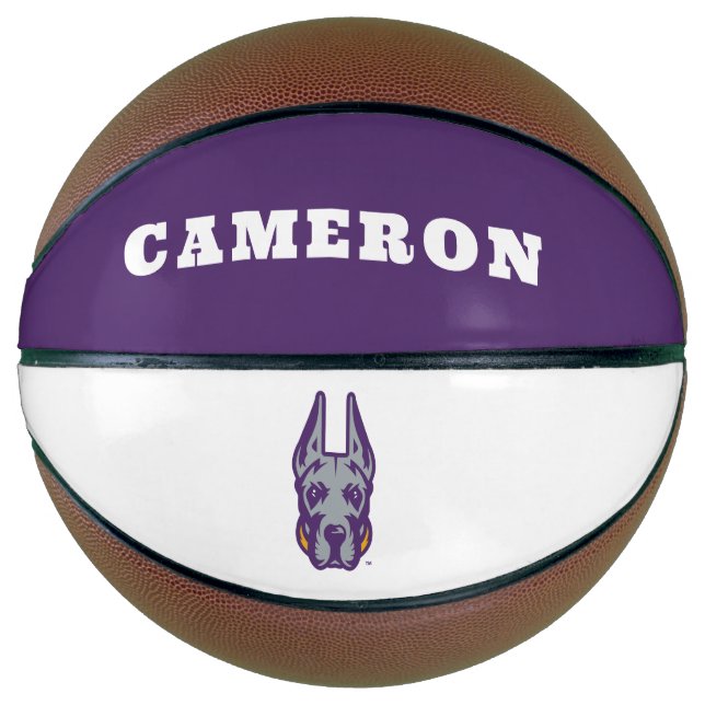 University at Albany Great Dane Mascot Head Basketball (Front)