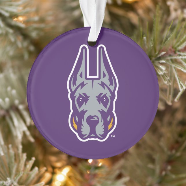University at Albany Great Dane Mascot Head Ornament (Tree)